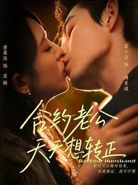 合约老公天天想转正海报